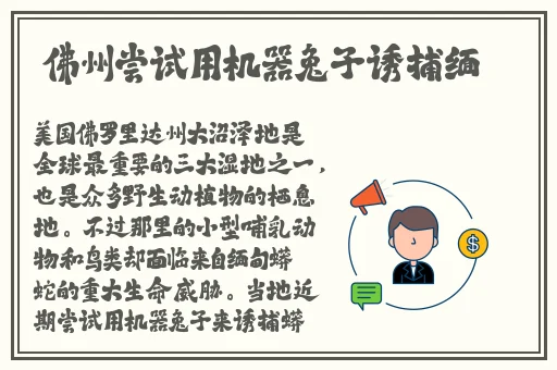 国产精品久久久久野外